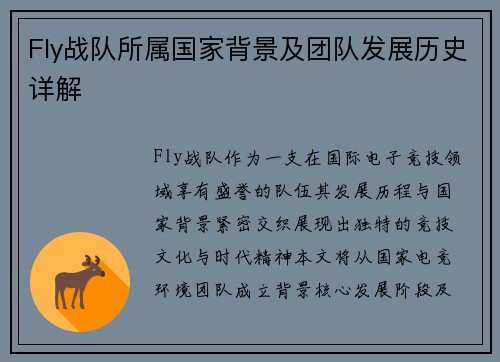 Fly战队所属国家背景及团队发展历史详解